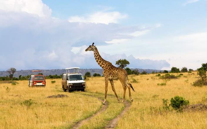 Masai_Mara_National_Reserve_109